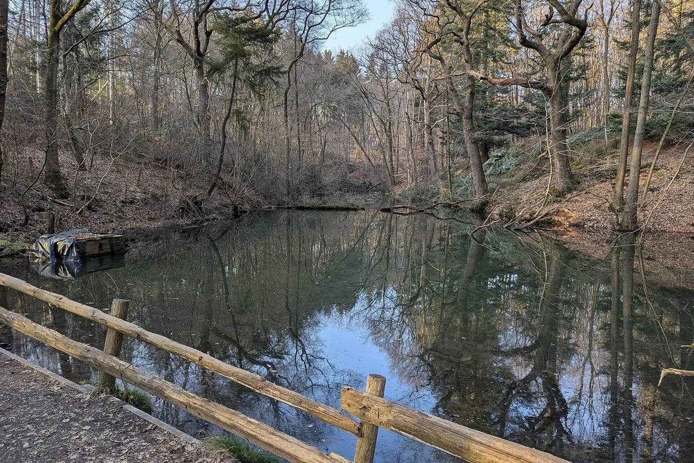 De vijvers van het Groenewater op de Sint-Jansberg